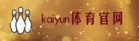 使用指南与常见问题